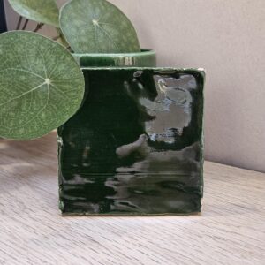 Grandeur PORTO tegel 10X10 cm – Groen glans