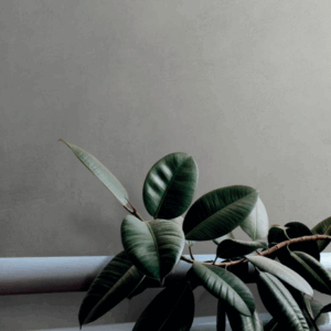 Del Conca TIMELINE tegel 120X120 cm – Grijs mat